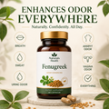 FenuGreek