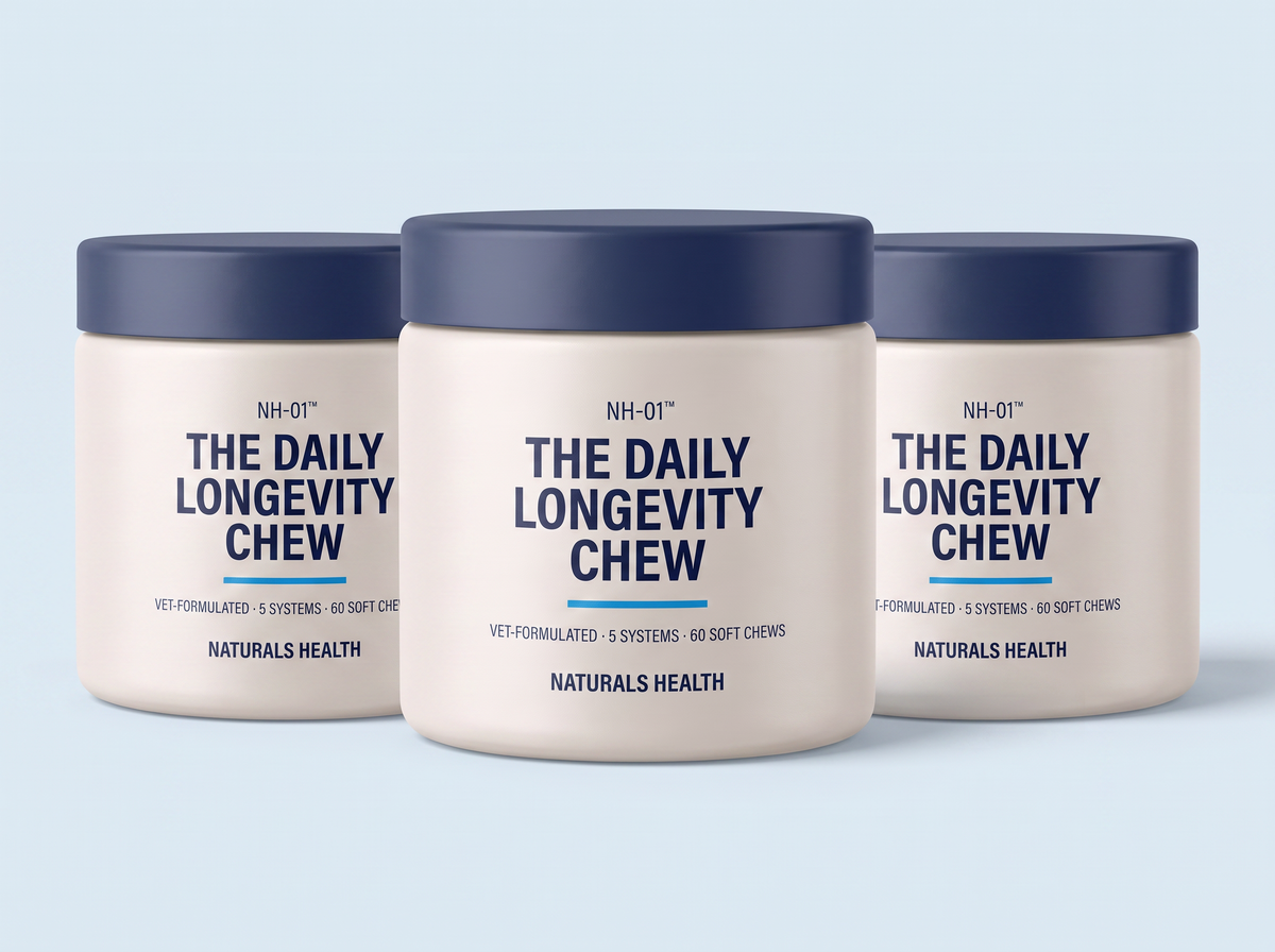 Three NH-01 Daily Longevity Chew jars — the 90-Day Bundle